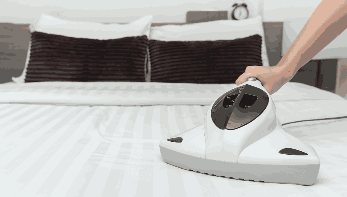 Professional Mattress Cleaning Vermont